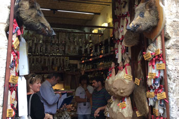 Plants: image 1 0f 4 thumb