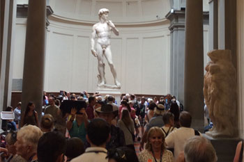 Plants: image 1 0f 4 thumb