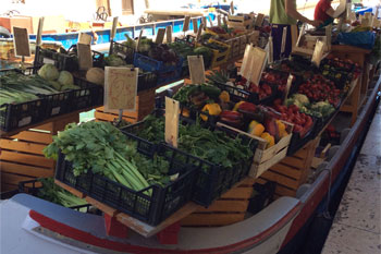 Plants: image 1 0f 4 thumb