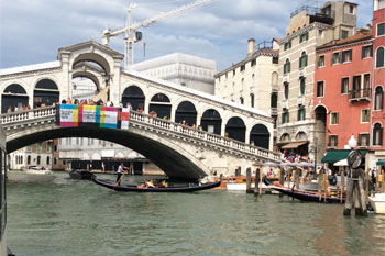 Plants: image 1 0f 4 thumb