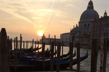 Plants: image 1 0f 4 thumb