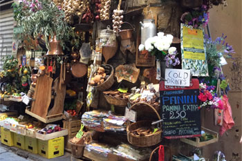 Plants: image 1 0f 4 thumb