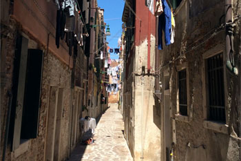 Plants: image 1 0f 4 thumb