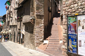 Plants: image 1 0f 4 thumb